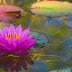 Reiki – Harmonisierung durch die universale Lebensenergie