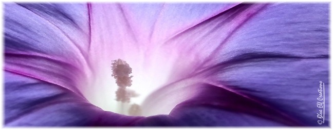 Licht im Inneren 2